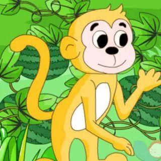 小毛猴吃瓜,小毛猴的夏日瓜果盛宴